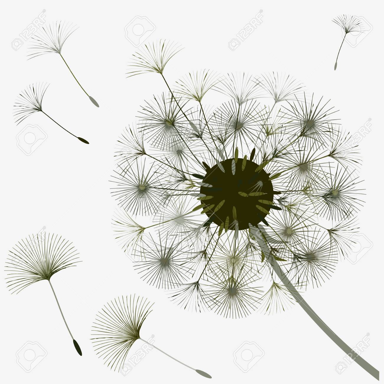 dandelion for design abstract background the wind blows the