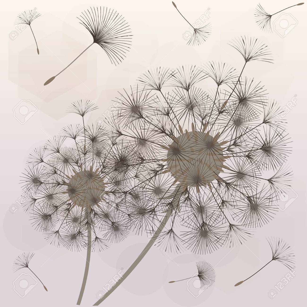 abstract background of a dandelion for design the wind blows