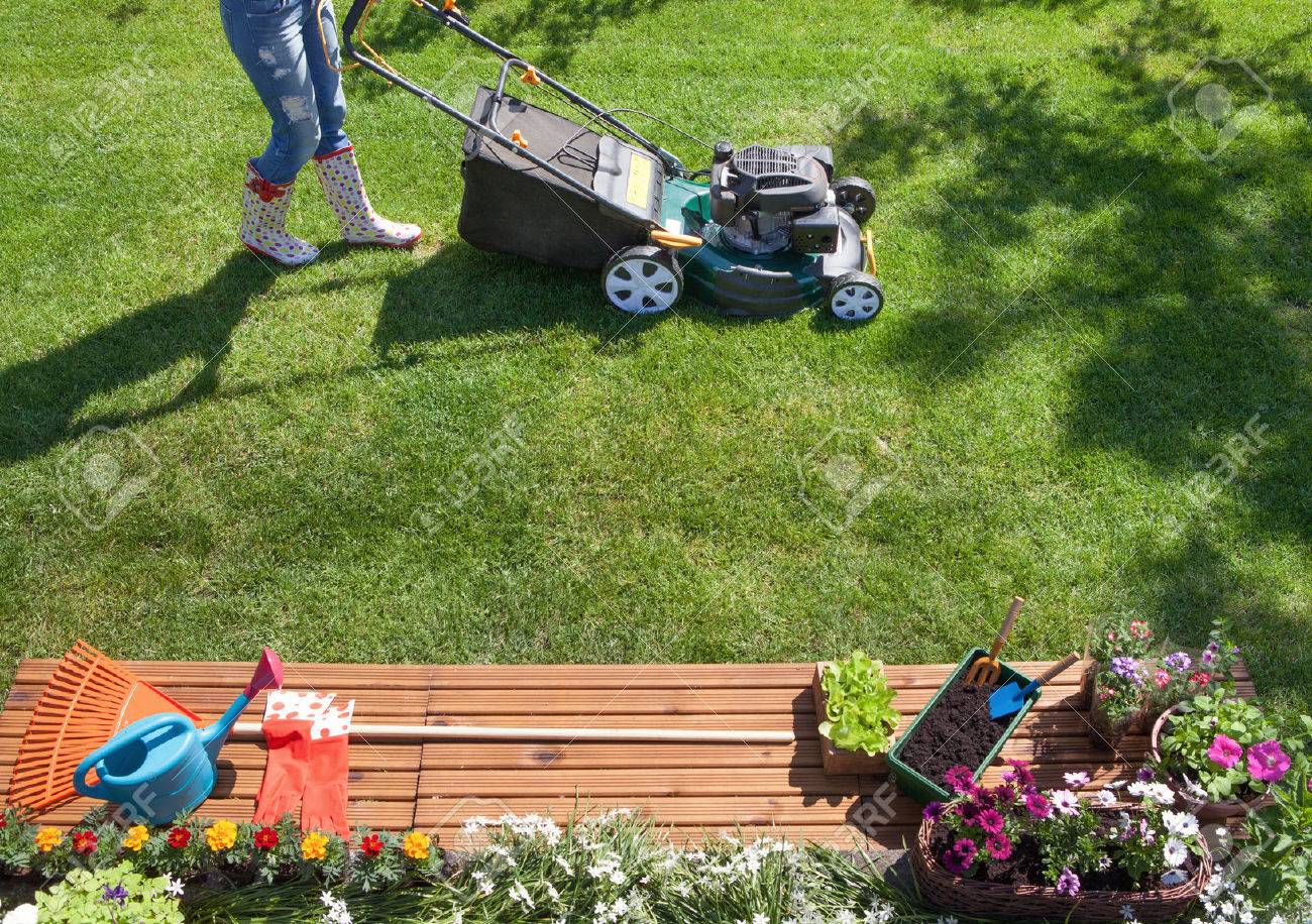Woman mowing with lawn mower in the garden, gardening concept - 51112325 Woman mowing with lawn mower in the garden, gardening concept - 51112325