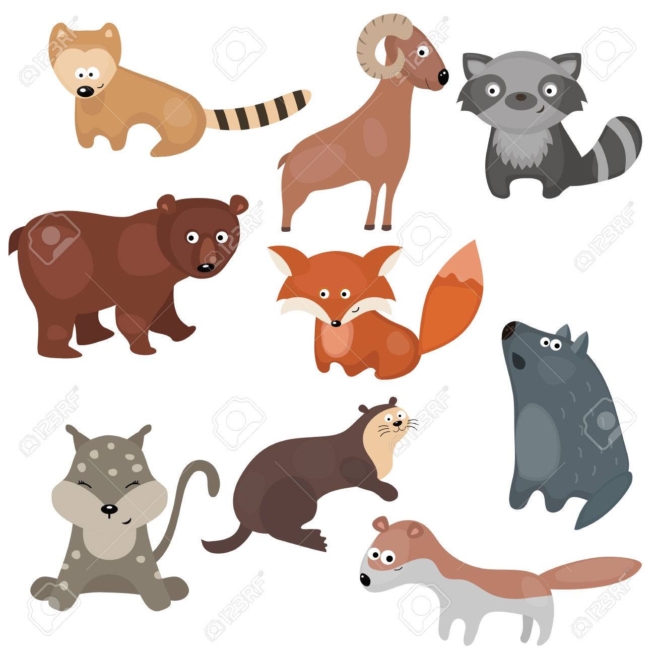 Satz Von Verschiedenen Tiere Von Nordamerika Auf Weissem Hintergrund Lizenzfrei Nutzbare Vektorgrafiken Clip Arts Illustrationen Image 62444230