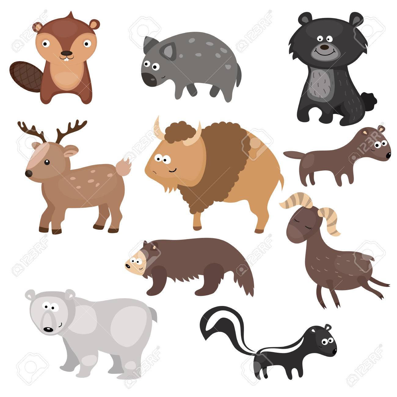 Satz Von Verschiedenen Tiere Von Nordamerika Auf Weissem Hintergrund Lizenzfrei Nutzbare Vektorgrafiken Clip Arts Illustrationen Image 62444225