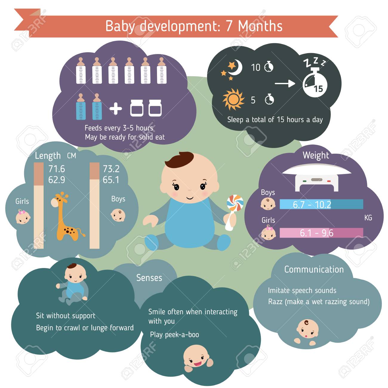baby development 7 months