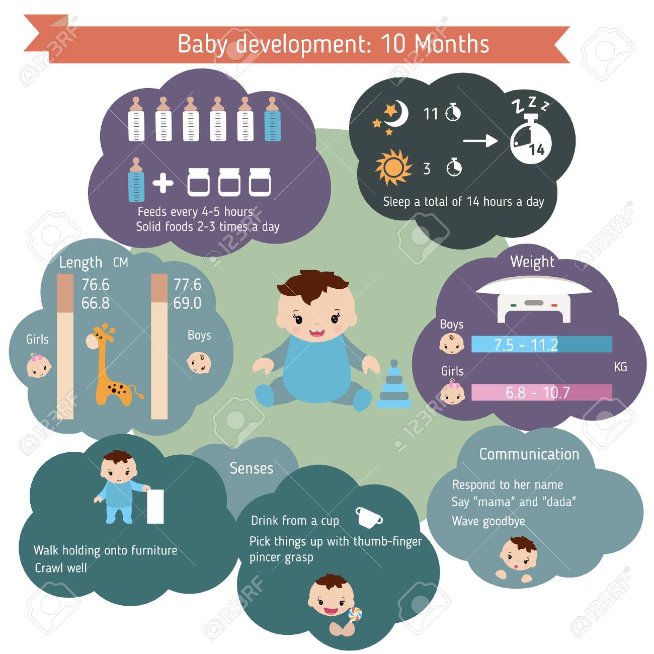 Infographies Developpement De L Enfant Guide De Croissance De Bebe Age De 10 Mois Clip Art Libres De Droits Svg Vecteurs Et Illustration Image Infographies Developpement De L Enfant Guide De Croissance De Bebe Age De 10 Mois Clip Art Libres De Droits Svg Vecteurs Et Illustration Image