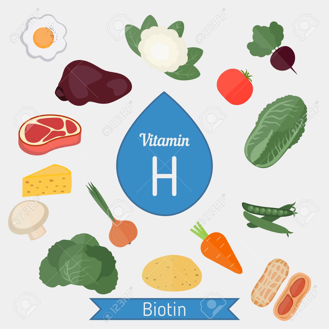 Vitamin H oder Biotin und Vektor-Set von Vitamin H reiche Lebensmittel. Gesunde Lebensstil und Diät-Konzept. Vitamin H oder Biotin und Vektor-Set von Vitamin H reiche Lebensmittel. Gesunde Lebensstil und Diät-Konzept.