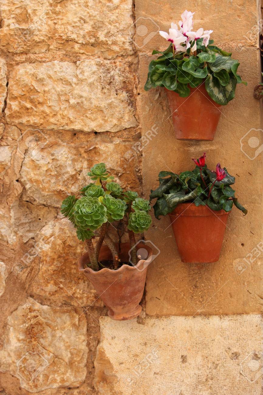 Hanging Plant Pots With Flowers Mounted On A Rustic Old Stone Wall Background Image Stock Hanging Plant Pots With Flowers Mounted On A Rustic Old Stone Wall Background Image Stock