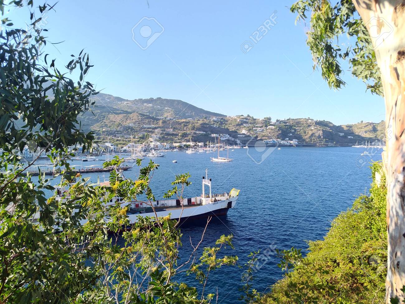 etiam-dictum-ipsum-a-felis