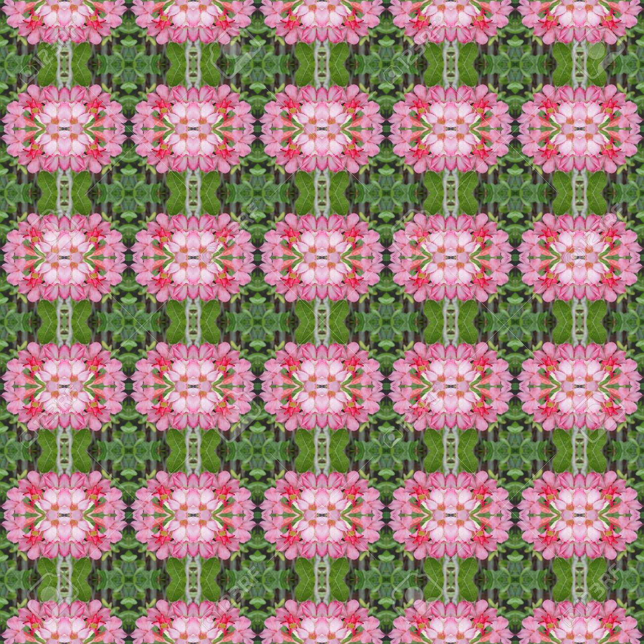 pentagram flowers flowers into