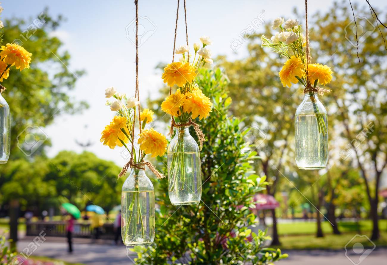 the marigold flowers in