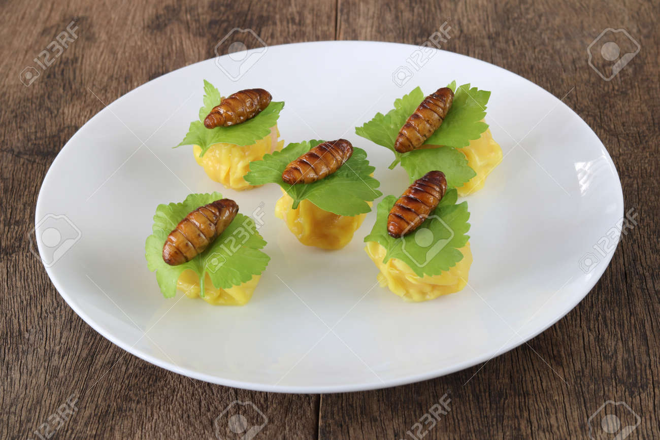 Insects food.Fried silkworm pupae with Chinese steamed dumpling close up.Silkworm pupae are rich protein and good fats.Insects are food future for all people - 157213458 Insects food.Fried silkworm pupae with Chinese steamed dumpling close up.Silkworm pupae are rich protein and good fats.Insects are food future for all people - 157213458