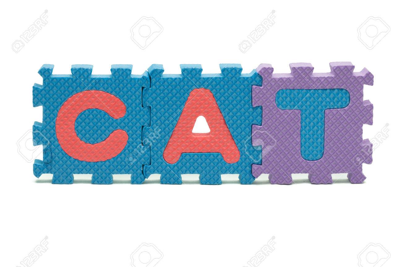 cat puzzle mat