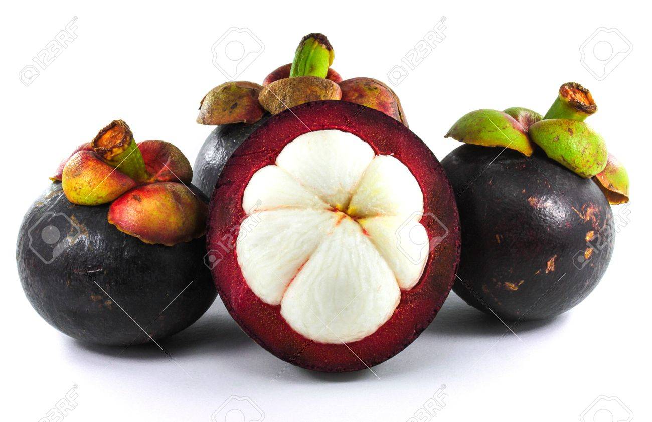 Mangosteen Fruit And Cross Section Showing The Thick Purple Skin Stock Photo Picture And Royalty Free Image Image Mangosteen Fruit And Cross Section Showing The Thick Purple Skin Stock Photo Picture And Royalty Free Image Image