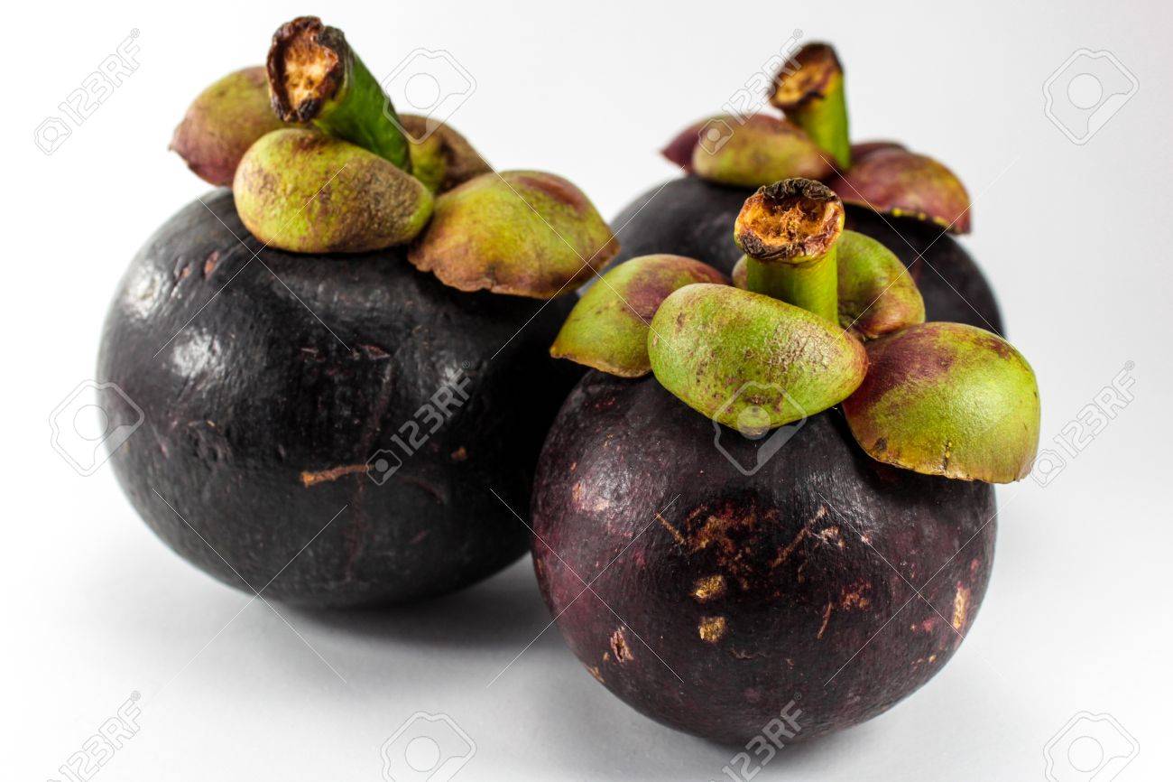 マンゴスチン フルーツと断面厚パープル皮膚と果物の女王の白い肉を示します の写真素材 画像素材 Image マンゴスチン フルーツと断面厚パープル皮膚と果物の女王の白い肉を示します の写真素材 画像素材 Image