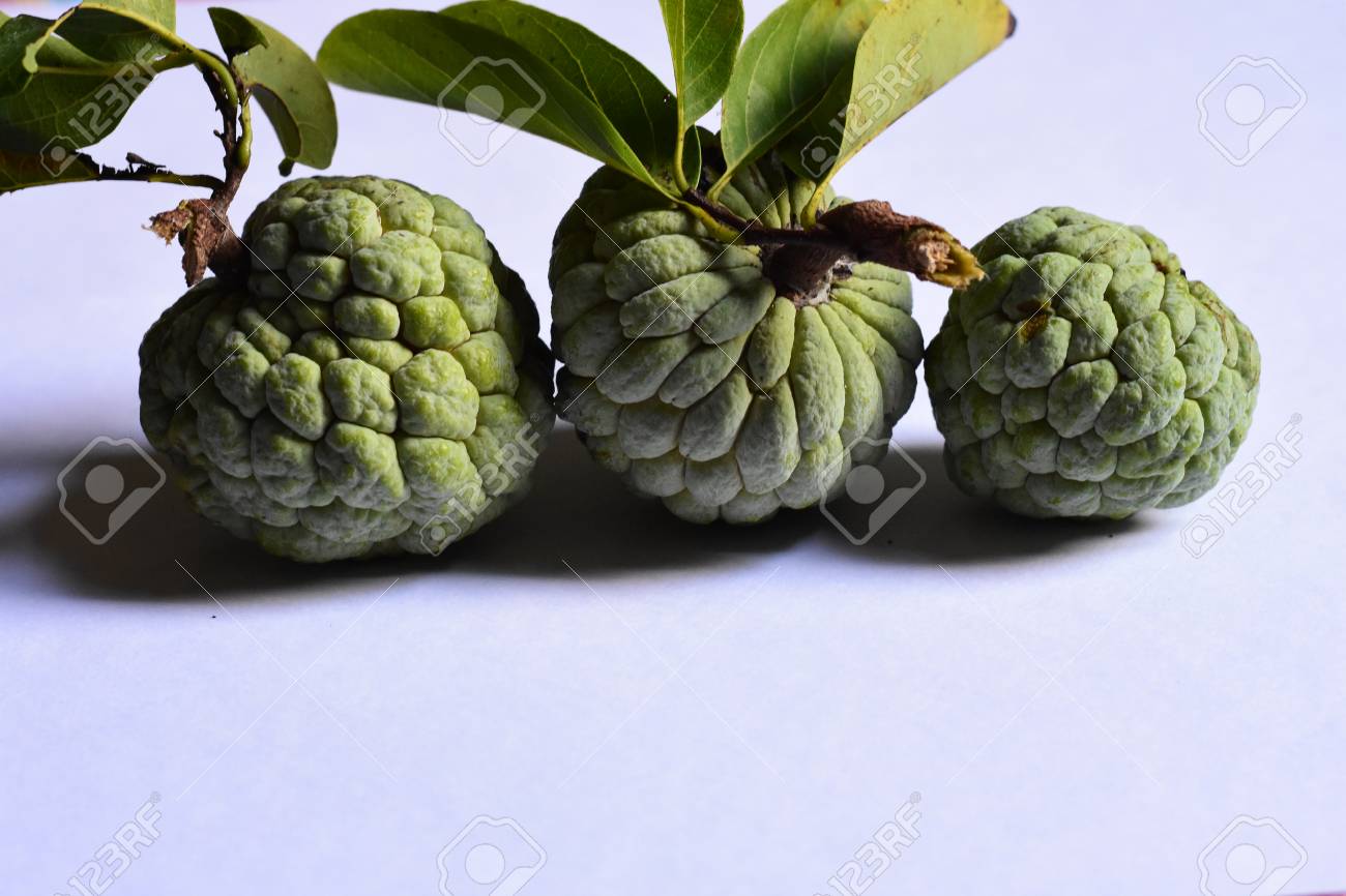 Sugar Apple custard apple, annona white background - 79588138 Sugar Apple custard apple, annona white background - 79588138