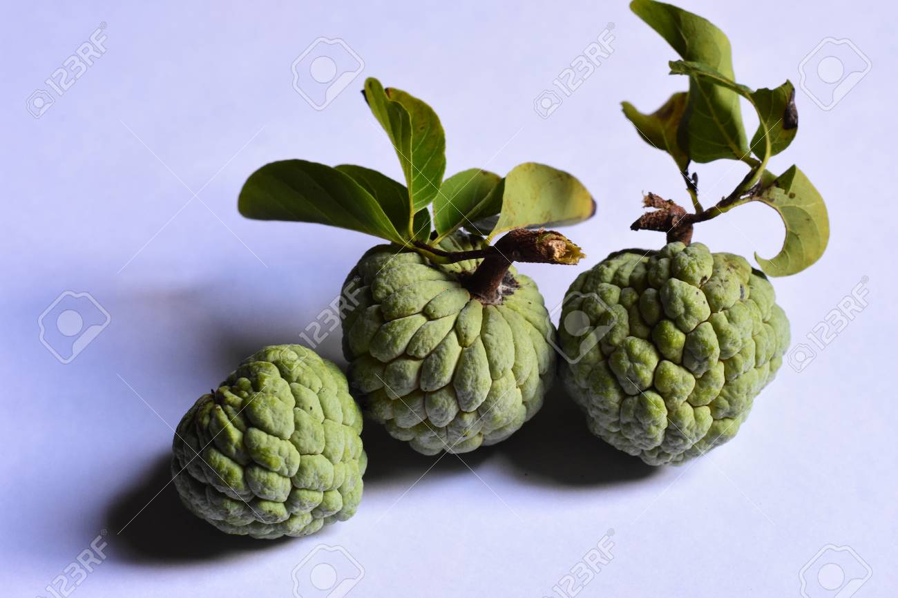 Sugar Apple custard apple, annona white background - 79589765 Sugar Apple custard apple, annona white background - 79589765