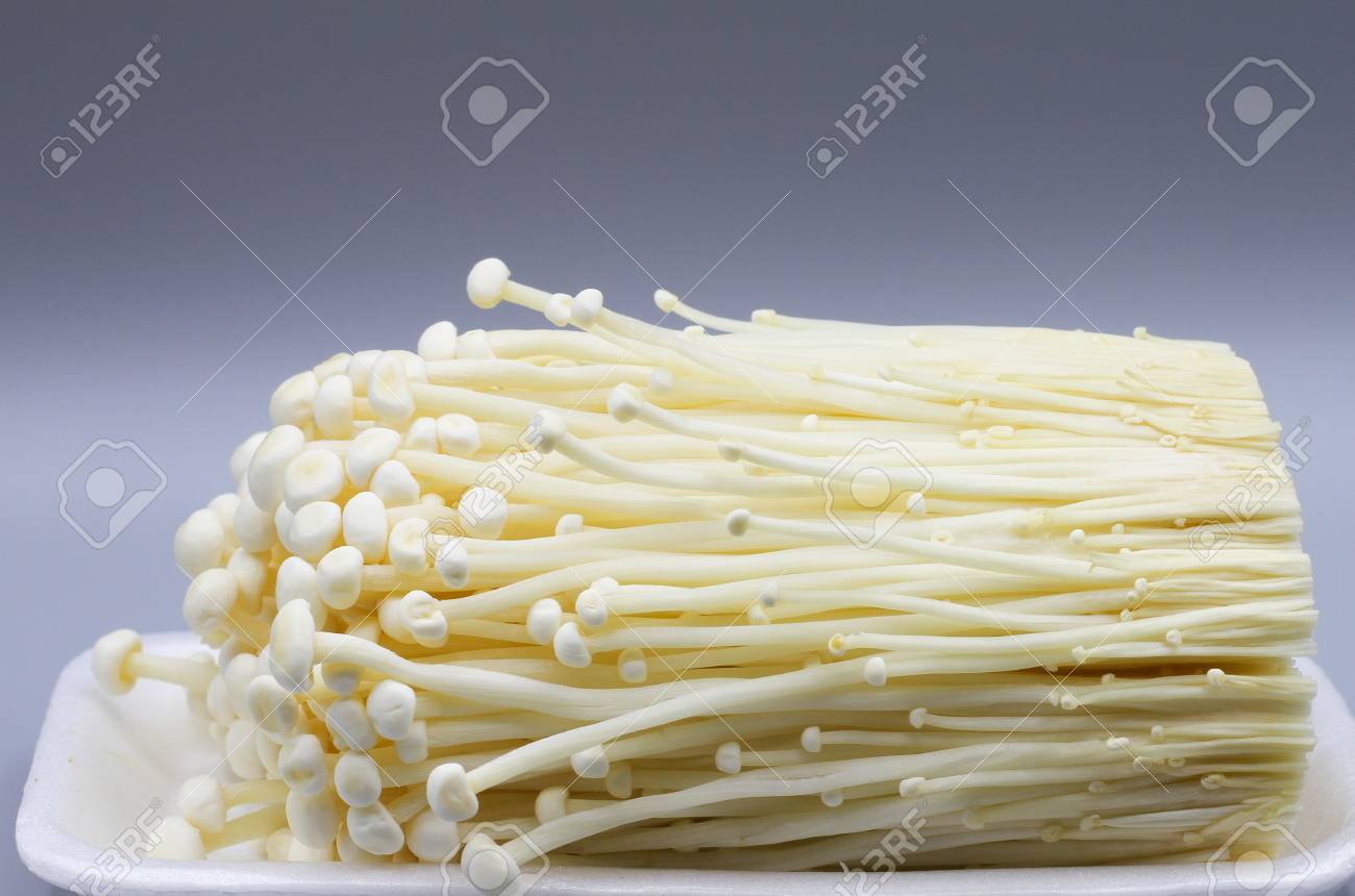 Enoki Pilz Grossansicht Lange Dunne Weisse Pilze Lizenzfreie Fotos Bilder Und Stock Fotografie Image 69645275