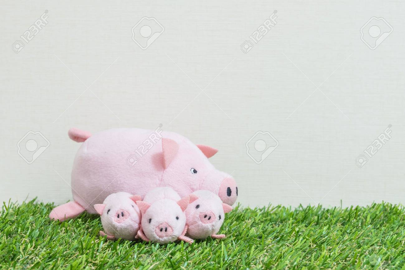 Closeup Cute Pink Pig Doll And Three Little Pig On Artificial Grass And Cream Color Wallpaper Wall Textured Background With Copy Space Stock Photo Picture And Royalty Free Image Image