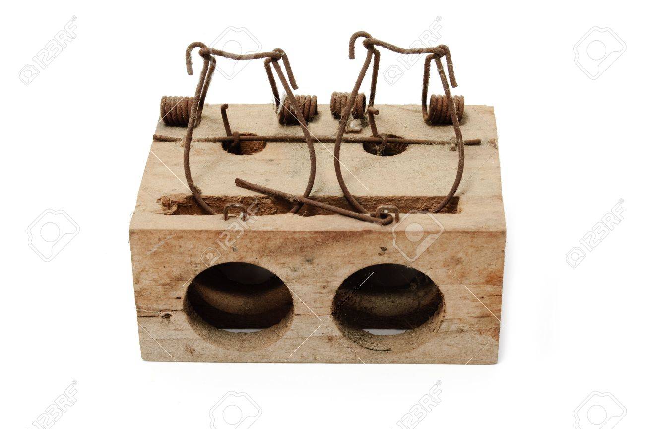 鳥罠 の写真素材 画像素材 Image