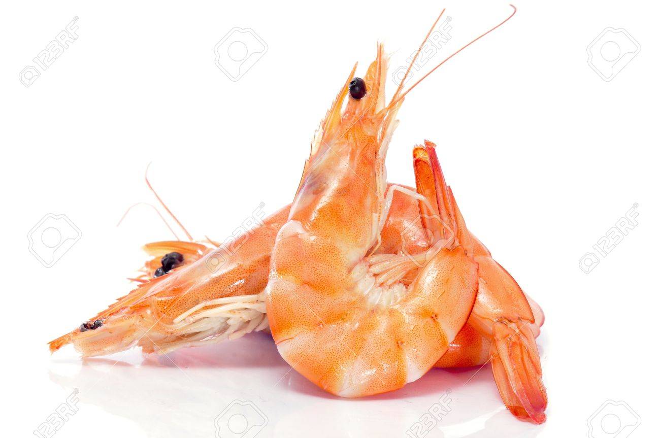 some shrimps on a white background - 9550320 some shrimps on a white background - 9550320