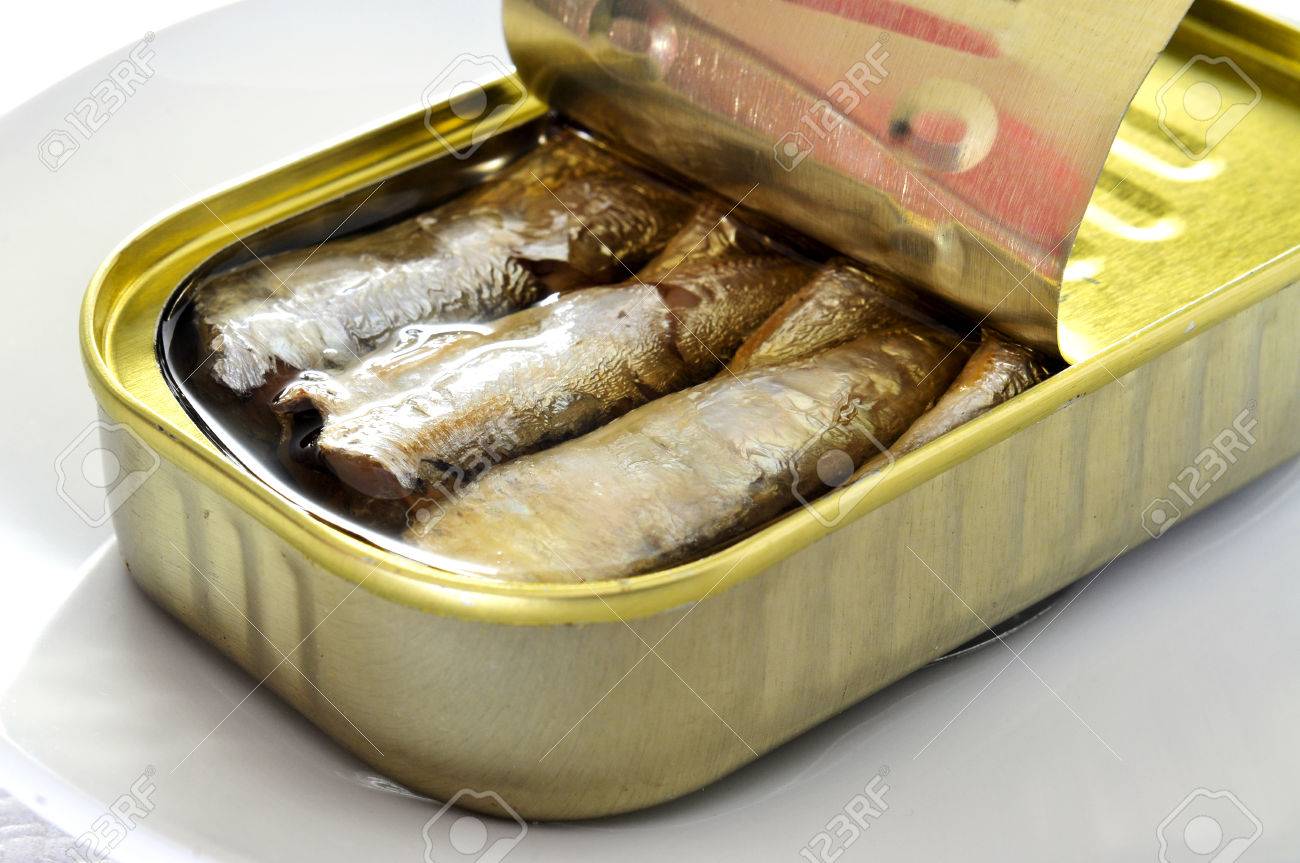 Gros Plan Sur Une Boîte Ouverte De Sardines Dans Une Assiette Banque  D'Images et Photos Libres De Droits. Image 24064673