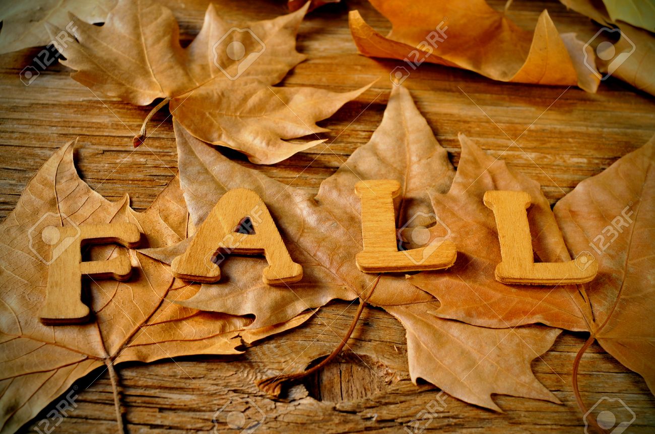 wooden letters forming the word fall and some autumn leaves on