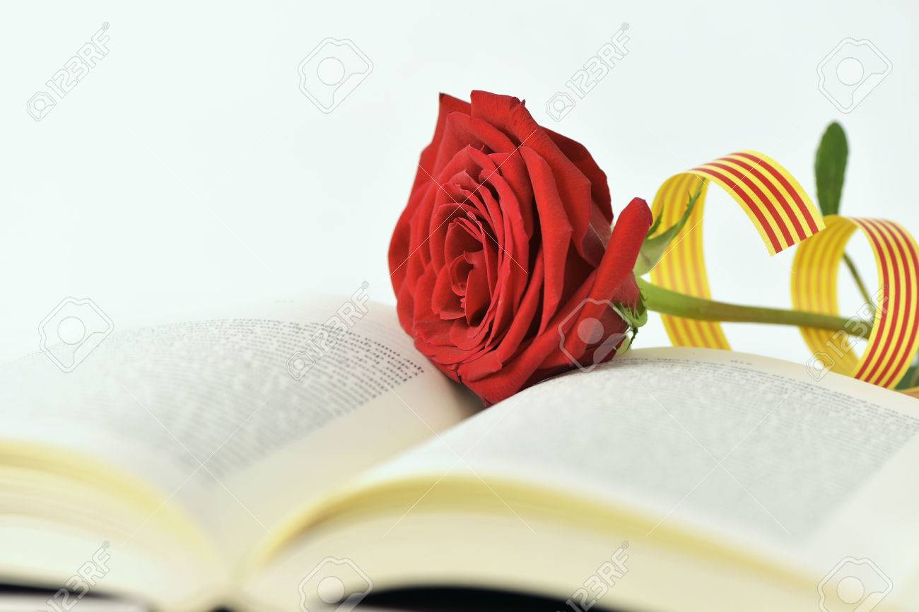 closeup of a red rose and a catalan flag in an open book for Sant Jordi, the Catalan name for Saint Georges Day, when it is tradition to give red roses and books in Catalonia, Spain - 75987496 closeup of a red rose and a catalan flag in an open book for Sant Jordi, the Catalan name for Saint Georges Day, when it is tradition to give red roses and books in Catalonia, Spain - 75987496