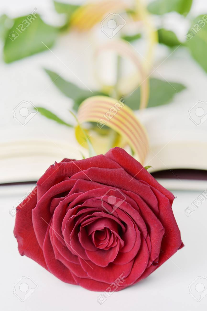 Closeup Of A Red Rose And A Flag Of Catalonia In An Open Book