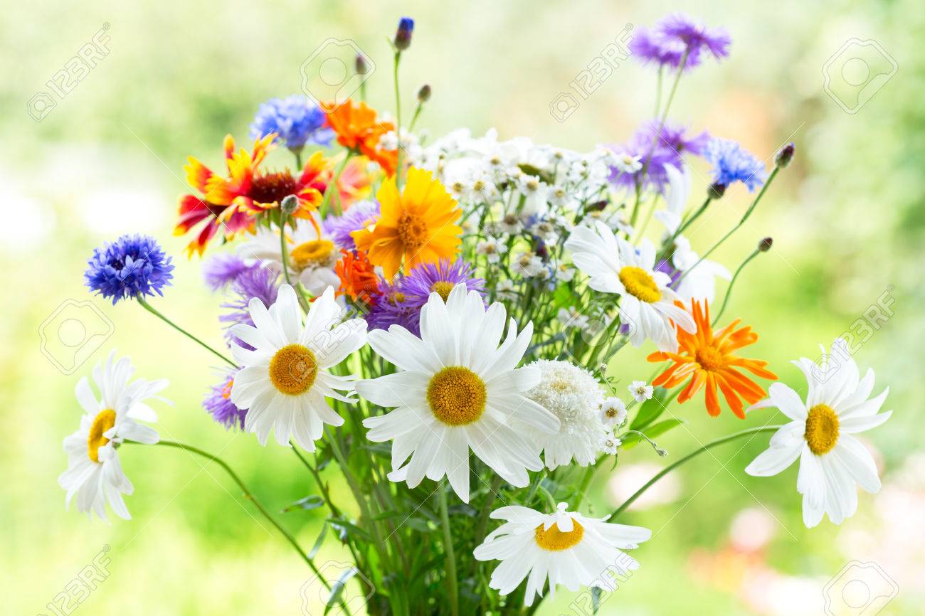 bouquet of summer flowers on green background stock photo picture