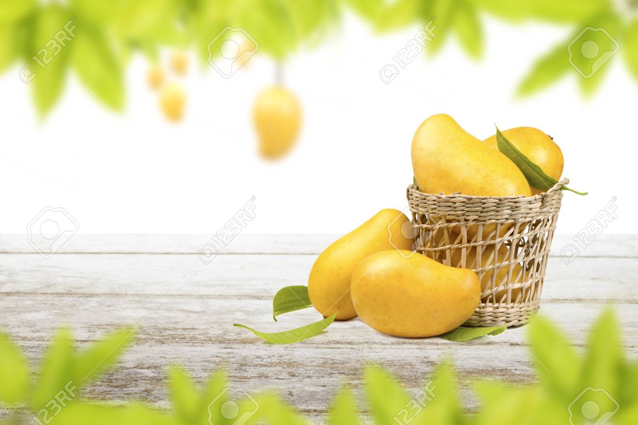 basket blanche mango