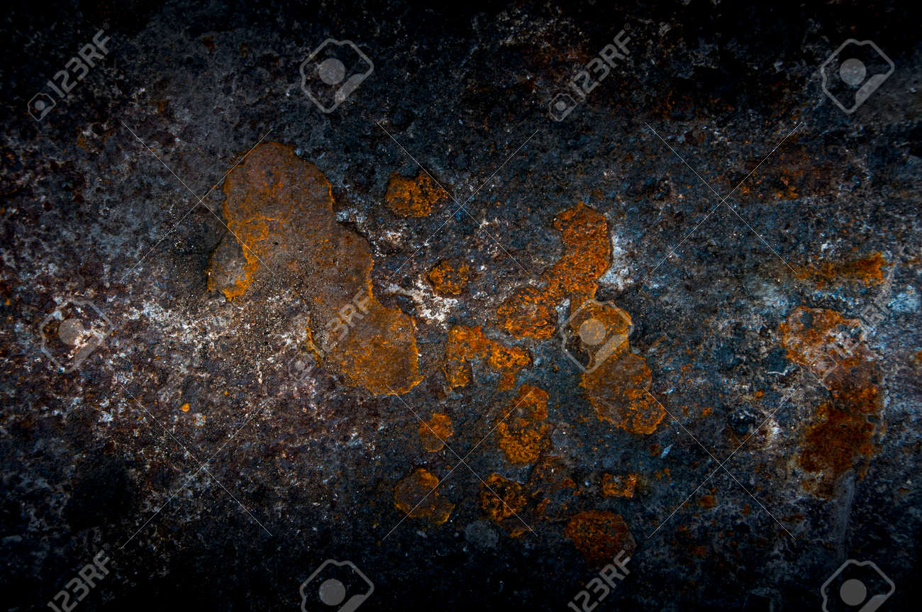 etiam-dictum-ipsum-a-felis