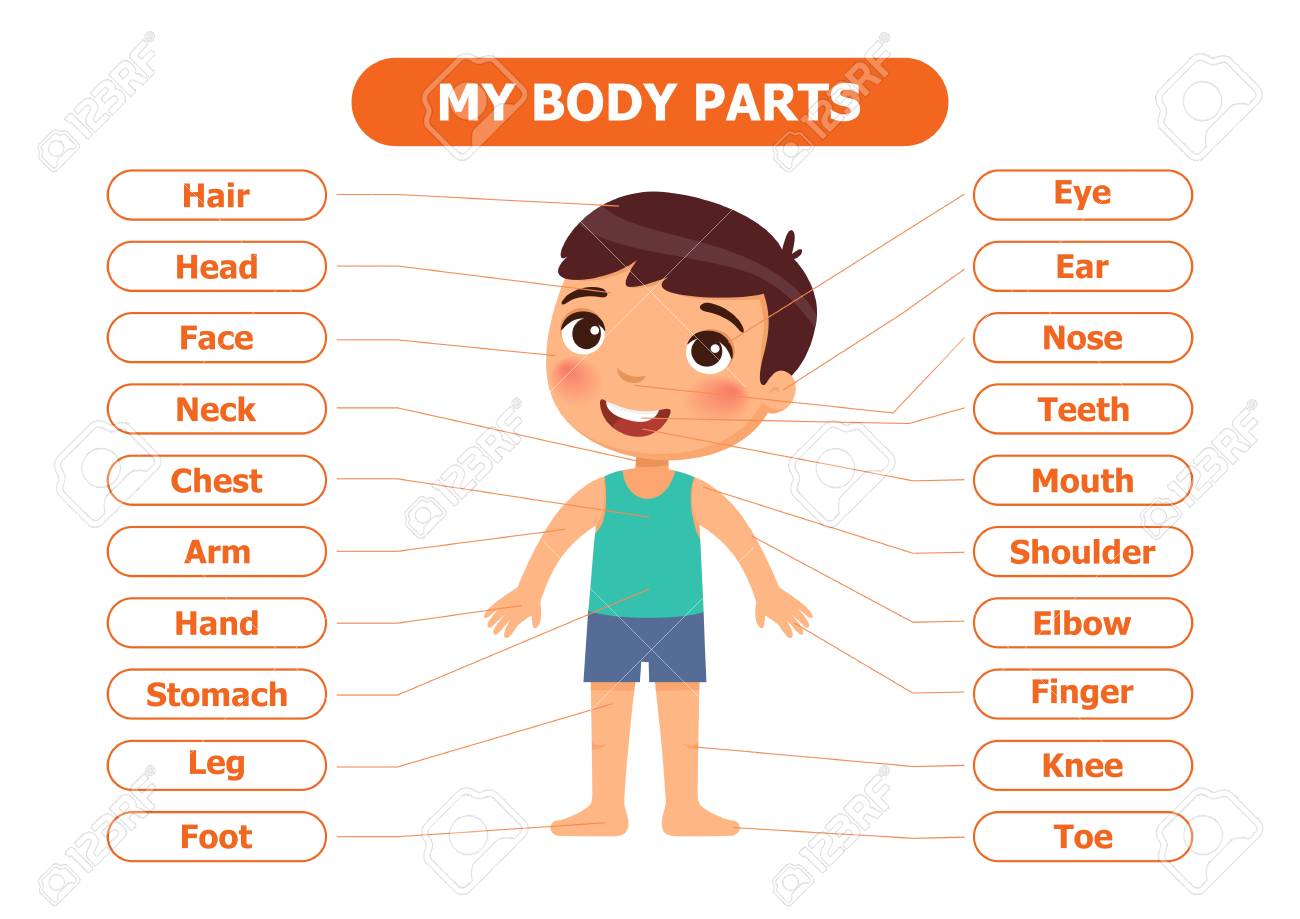 My Body
