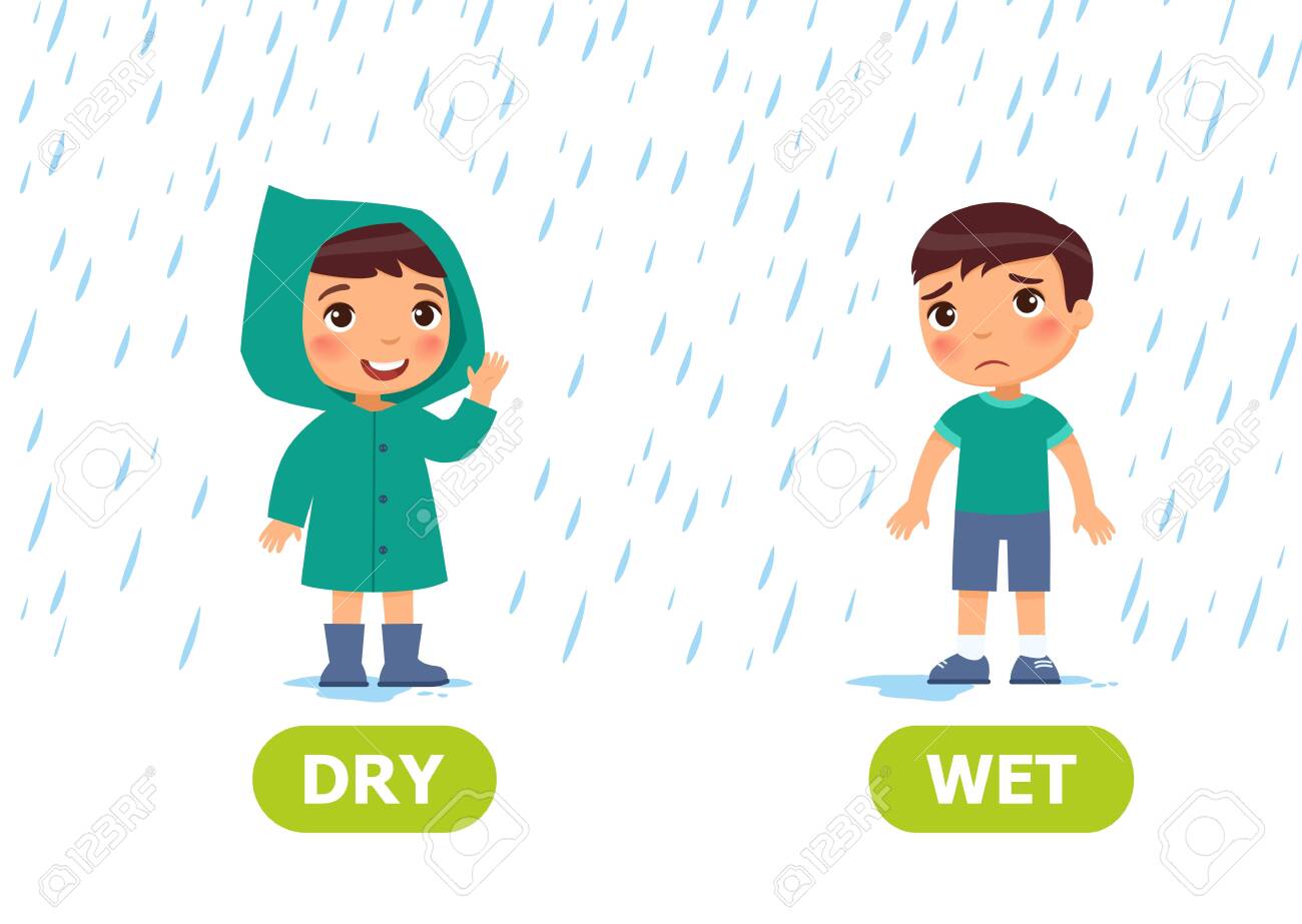 Little boy in a raincoat and without a raincoat in the rain. Illustration of opposites dry and wet. Card for teaching aid, for a foreign language learning. Vector illustration on white background, cartoon style. - 123007535 Little boy in a raincoat and without a raincoat in the rain. Illustration of opposites dry and wet. Card for teaching aid, for a foreign language learning. Vector illustration on white background, cartoon style. - 123007535