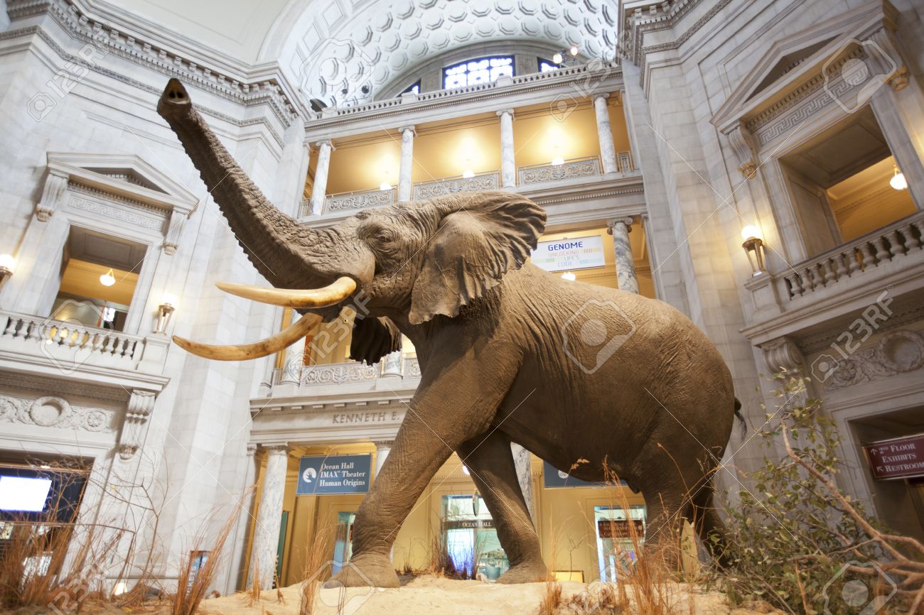 The National Museum Of Natural History Is A