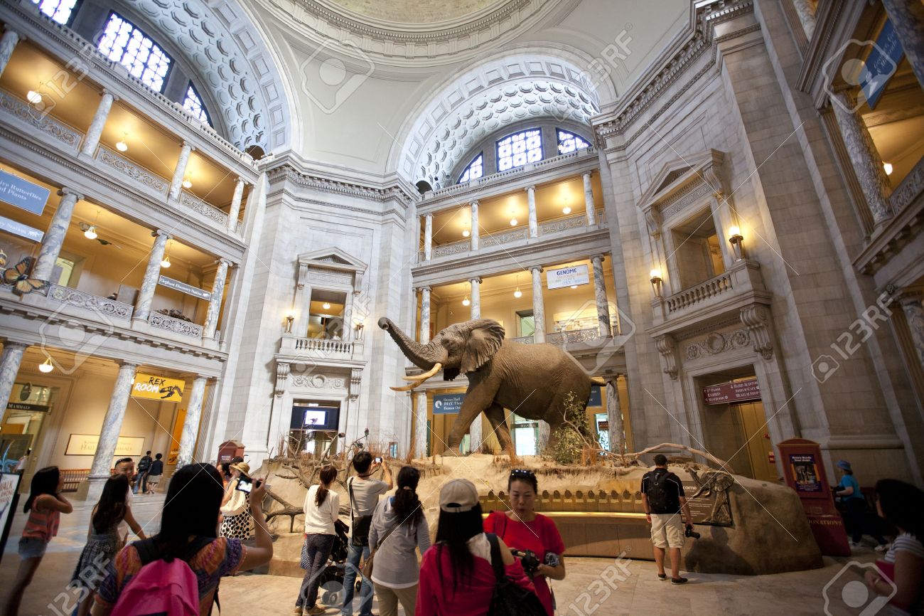国立自然史博物館は ナショナル モール ワシントン D C アメリカ合衆国に位置するスミソニアン研究所によって管理される自然史博物館です の写真素材 画像素材 Image 国立自然史博物館は ナショナル モール ワシントン D C アメリカ合衆国に位置するスミソニアン研究所によって管理される自然史博物館です の写真素材 画像素材 Image