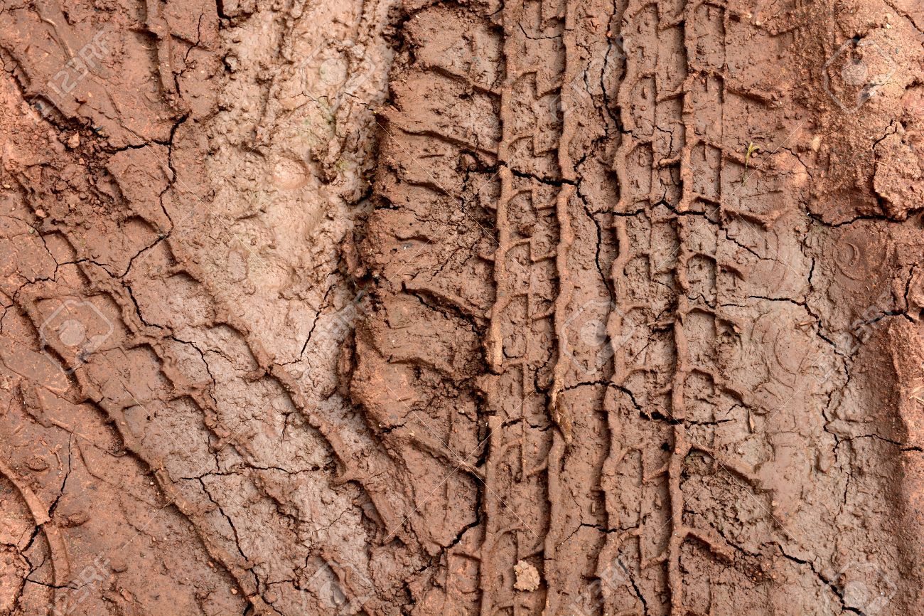 trail background