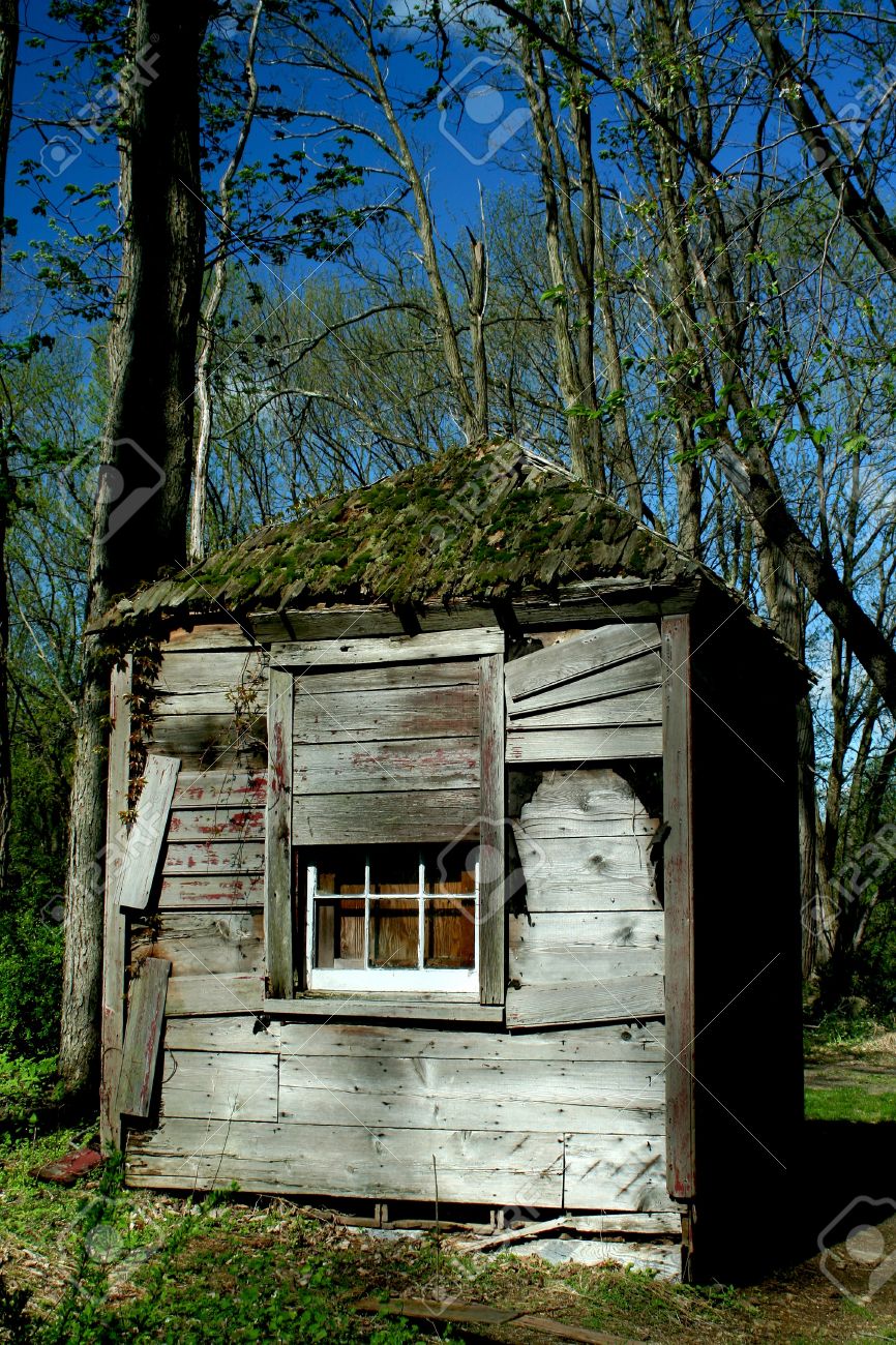 A Old Abandoned Hut In The Woods Stock Photo, Picture and Royalty Free  Image. Image 9482321., image size:866x1300