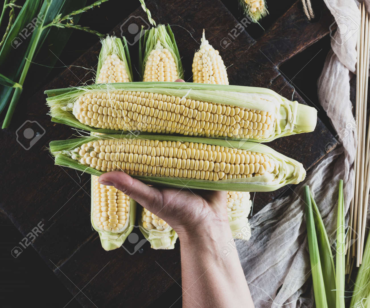 etiam-dictum-ipsum-a-felis