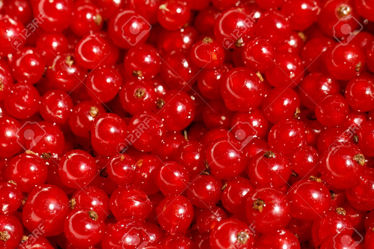 37165546-contexte-de-mûres-