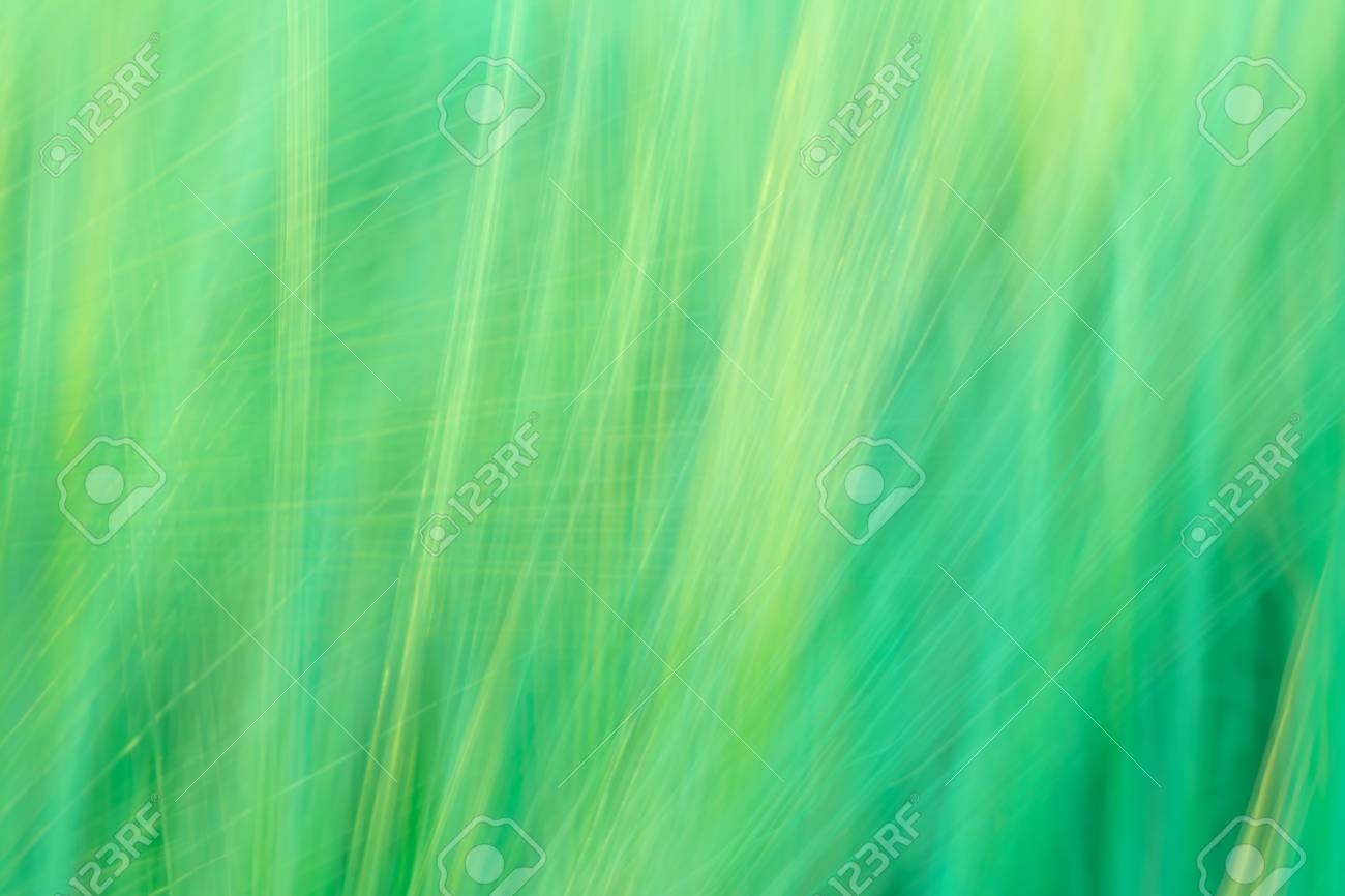 植物に基づく行の優位性と緑抽象的な背景をぼかした写真 の写真素材