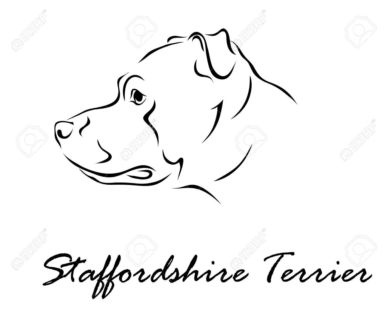 ベクトルの図 アメリカンスタッフォードシャー テリアの犬の品種を図します のイラスト素材 ベクタ Image