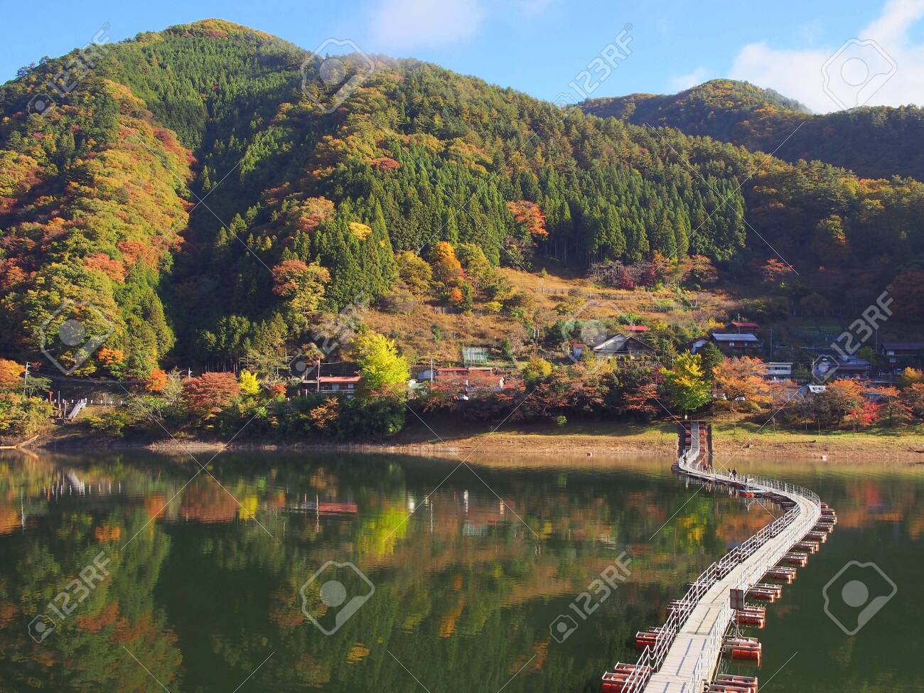 etiam-dictum-ipsum-a-felis