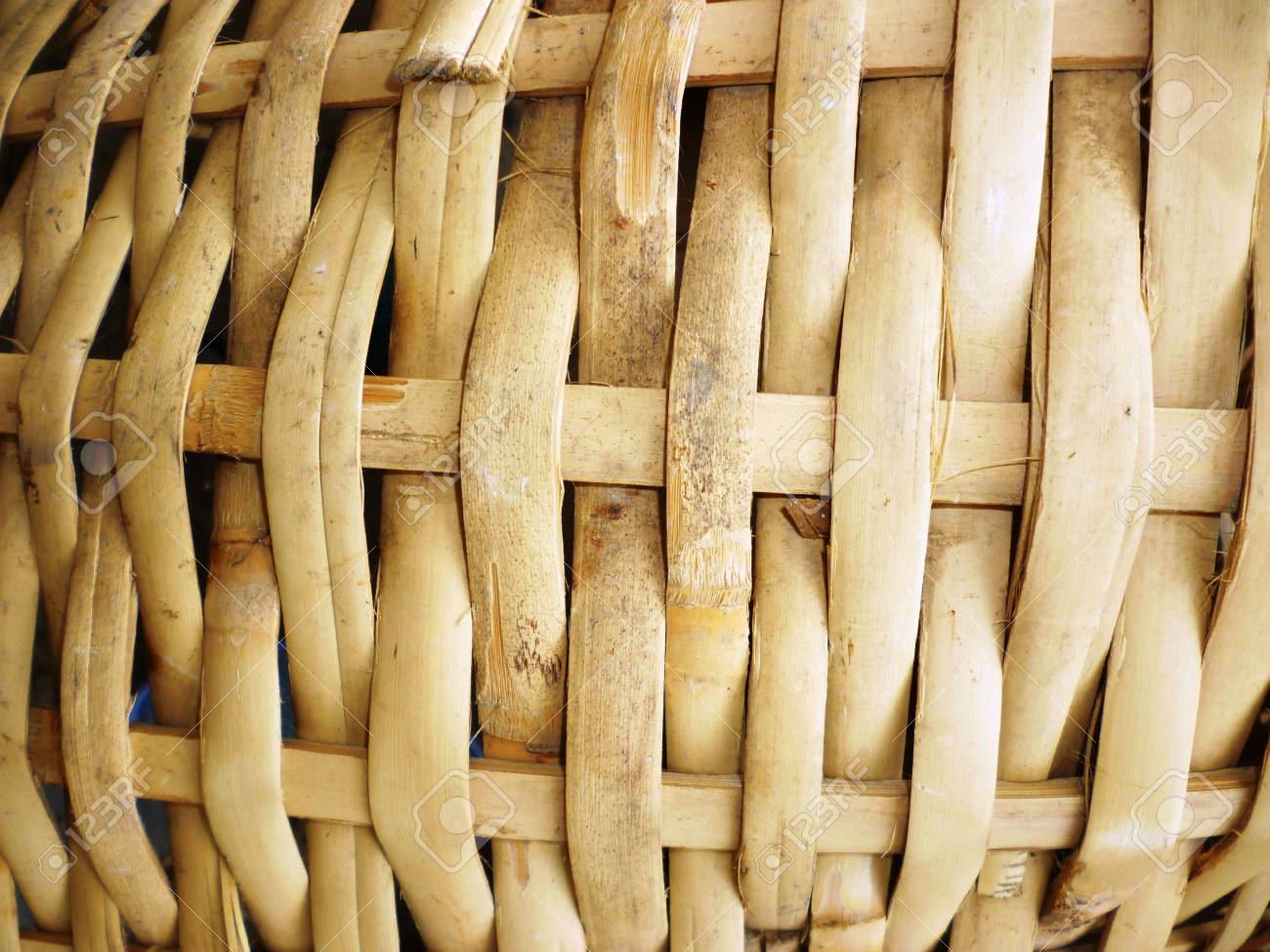 etiam-dictum-ipsum-a-felis