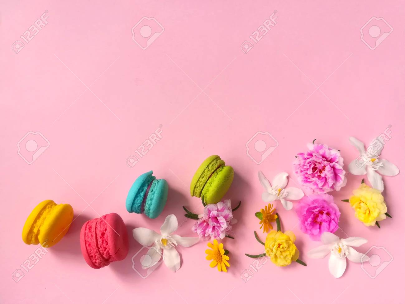 美しい壁紙を美しく 美しい壁紙で美しいピンクの背景にマカロンとカラフルな花 あなたのテキストのためのコピースペース の写真素材 画像素材 Image