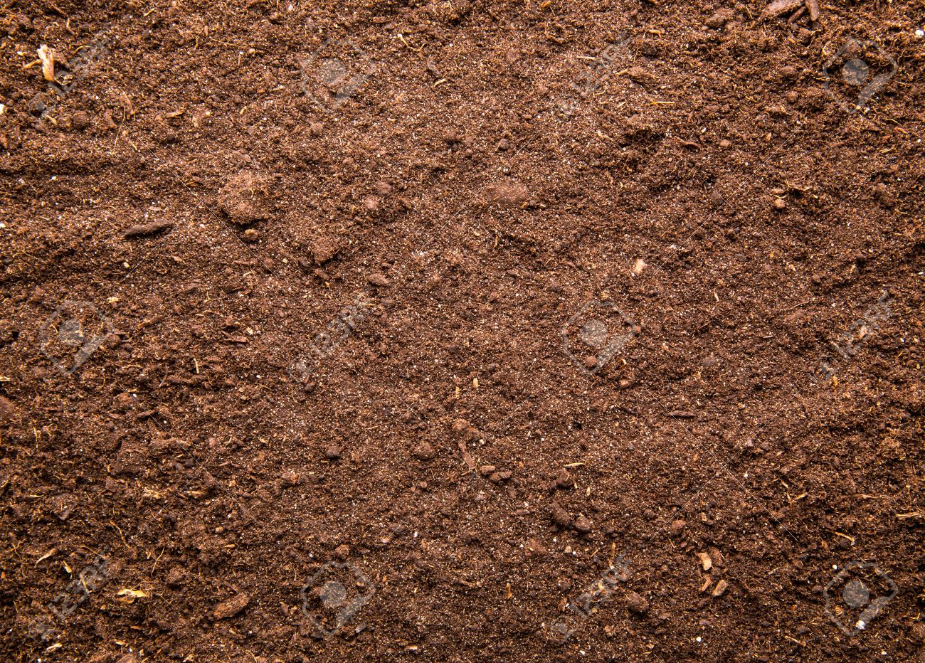 新鮮な茶色の土の背景 の写真素材 画像素材 Image