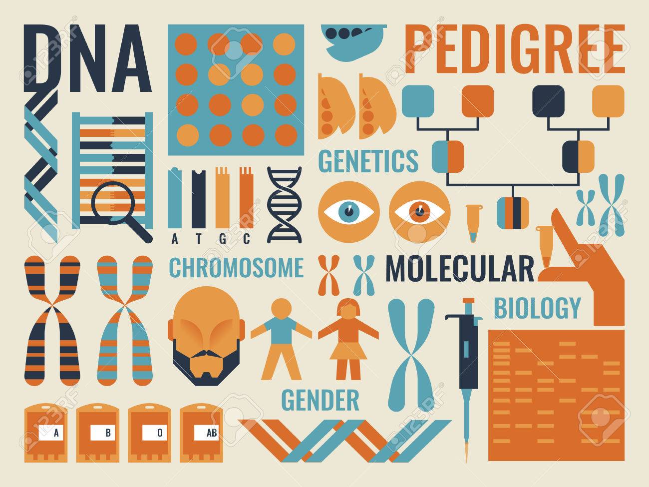 Illustration of Molecular Biology infographic background concept - 44274651 Illustration of Molecular Biology infographic background concept - 44274651