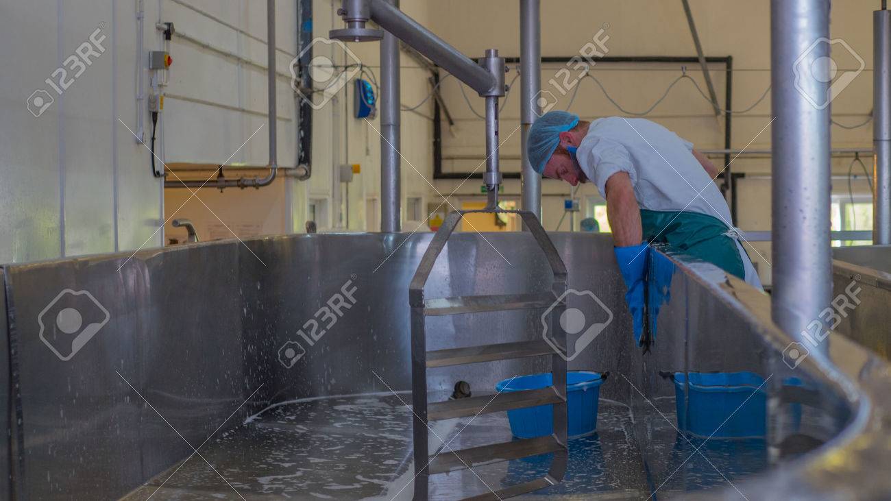Man cleaning industrial cheese vat inside a factory - 58891749 Man cleaning industrial cheese vat inside a factory - 58891749