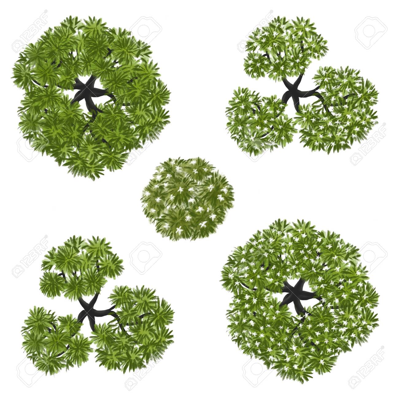 топпинг деревьев. дерево shutterstock. сосна сверху. Tree top перевод. Tree top.