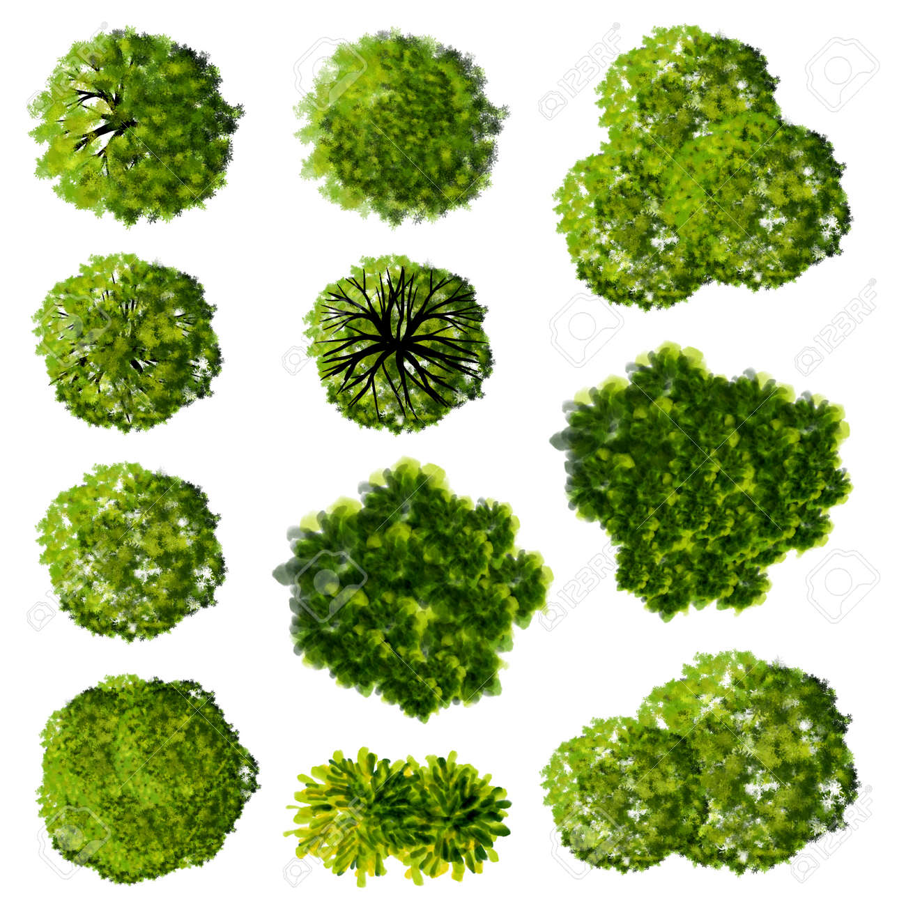 Collection Of Abstract Watercolor Green Tree Top View Isolated On White Background For Landscape Plan And Architecture Layout Drawing Elements For Environment And Garden Stock Photo Picture And Royalty Free Image Image