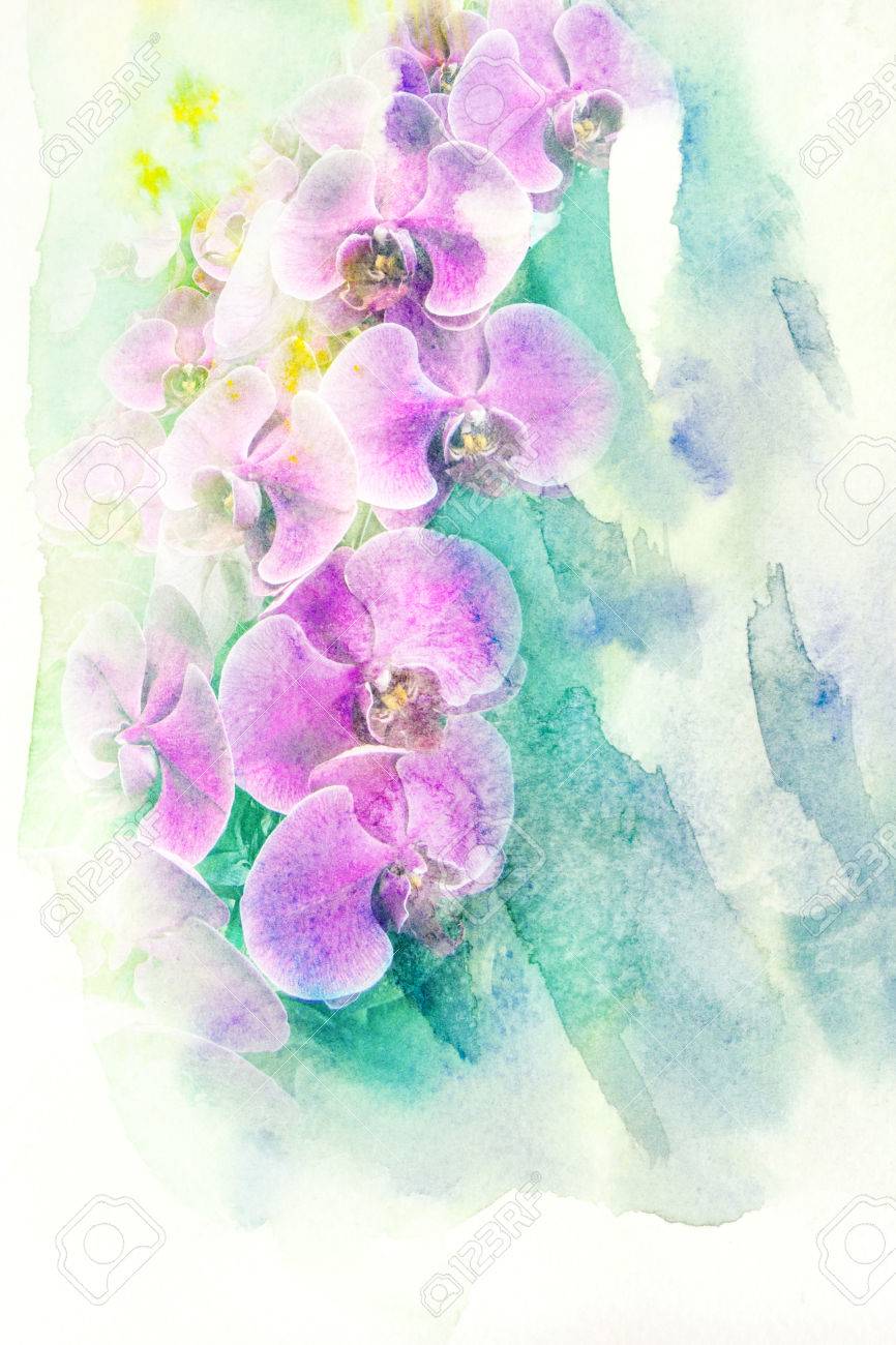 赤い蘭の花　水彩画　レランセナ 赤い蘭の花 水彩画 レランセナ 終了】2025年6月5～8日第64回蘭友