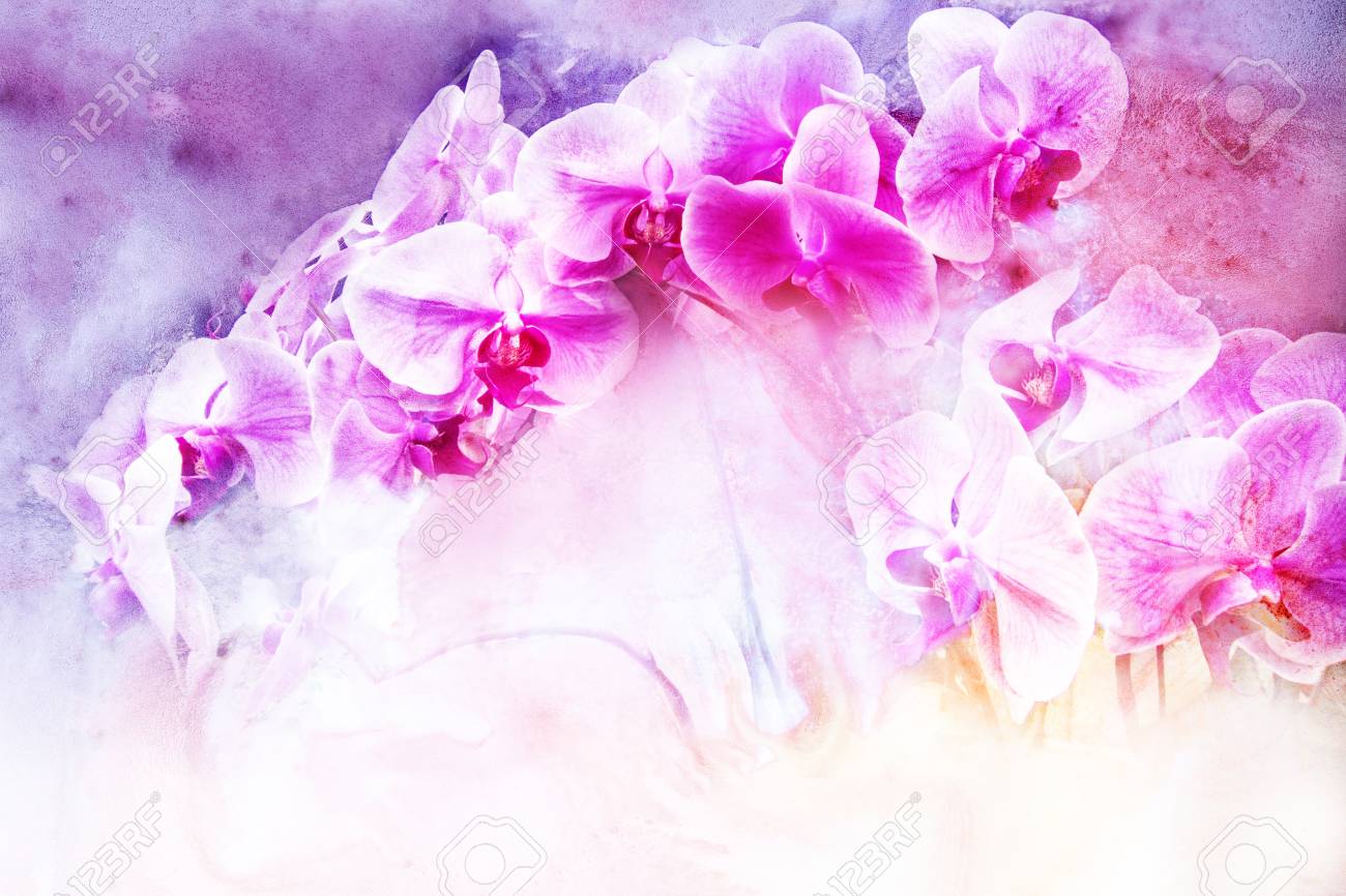 すべての美しい花の画像 最高桜蘭 花 すべての美しい花の画像 最高桜蘭 花
