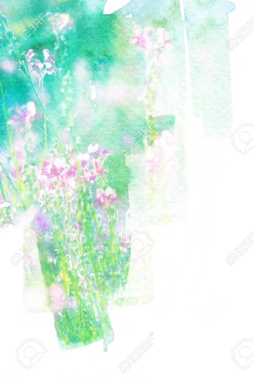 桜の花の水彩画イラスト 芸術的な花の抽象的な背景 の写真素材 画像素材 Image